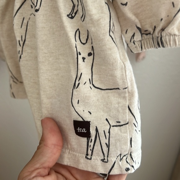 Tea Collection Alpaca dress (6-13m) - Picture 3 of 5